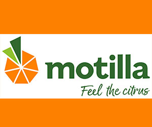 Motilla
