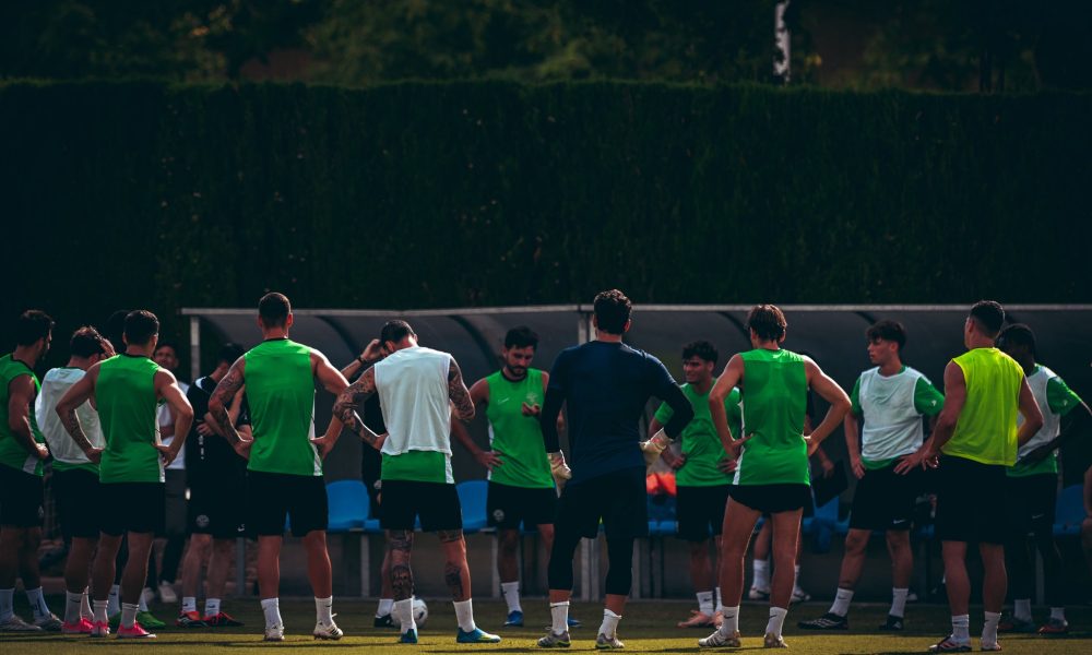 El Elche C.F. necesita entre ocho y once fichajes