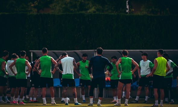 El Elche C.F. necesita entre ocho y once fichajes